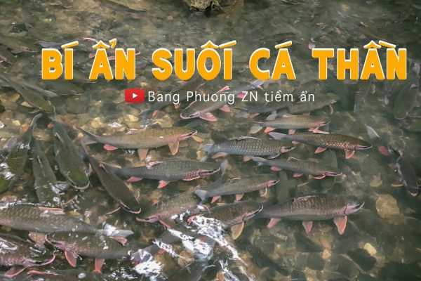 BÍ ẨN SUỐI CÁ THẦN: Việt Nam – vẻ đẹp tiềm ẩn số 35| Suối Ngọc| Cẩm Lương| Thanh Hoá| Động Cây Đăng