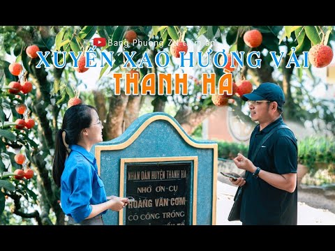 CÂY VẢI TỔ 200 TUỔI| XUYẾN XAO HƯƠNG VẢI THANH HÀ| Việt Nam vẻ đẹp tiềm ẩn số 66| cụ vải tổ |Thanhha