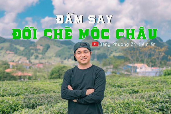 ĐẮM SAY ĐỒI CHÈ MỘC CHÂU| Việt Nam vẻ đẹp tiềm ẩn số 51|Sonla|langche|dulichtaybac|mocchau|doiche