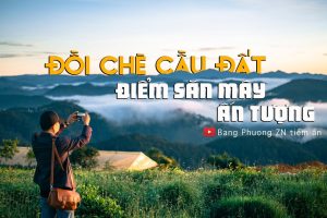 ĐỒI CHÈ CẦU ĐẤT – Điểm săn mây ấn tượng| Việt Nam vẻ đẹp tiềm ẩn số 71 |Dalat |doichecaudat |lamdong
