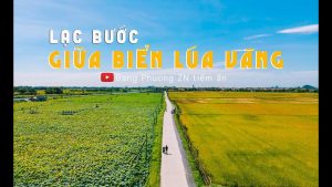 LAC BUOC GIUA BIEN LUA VANG