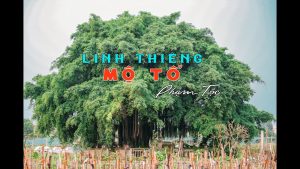 LINH THIENG MO TO PHAM TOC