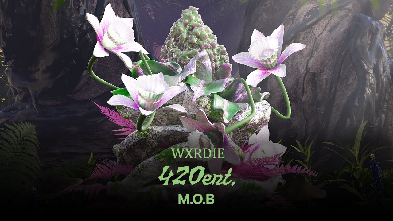 Lời Bài Hát M.O.B – Wxrdie