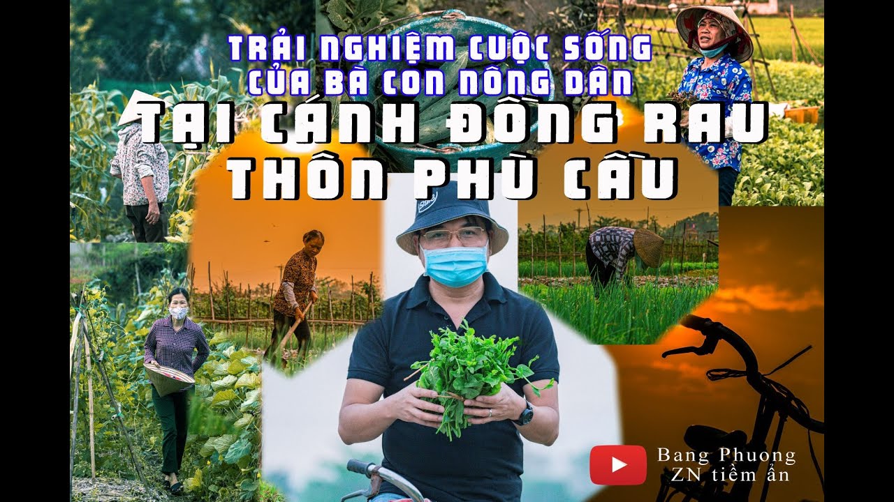 Việt nam vẻ đẹp tiềm ẩn số 20: Phù Cầu – Rau sạch thơm hương lúa