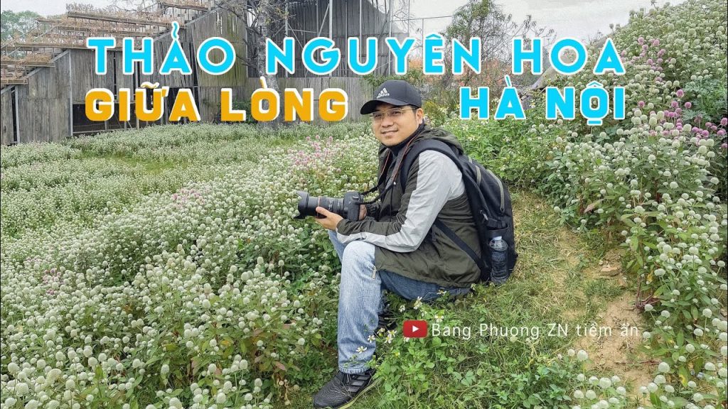 Thao nguyen hoa giua long Ha Noi