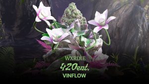 VINFLOW