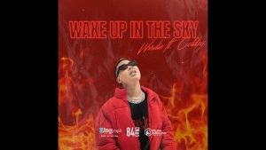 WAKE UP IN THE SKY