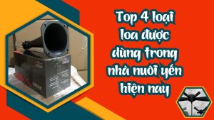 top 4 loai loa duoc dung trong nha nuoi yen hien nay